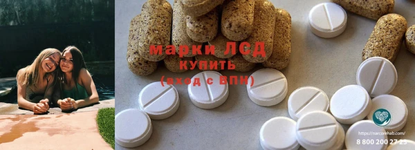 мяу мяу мука Арсеньев