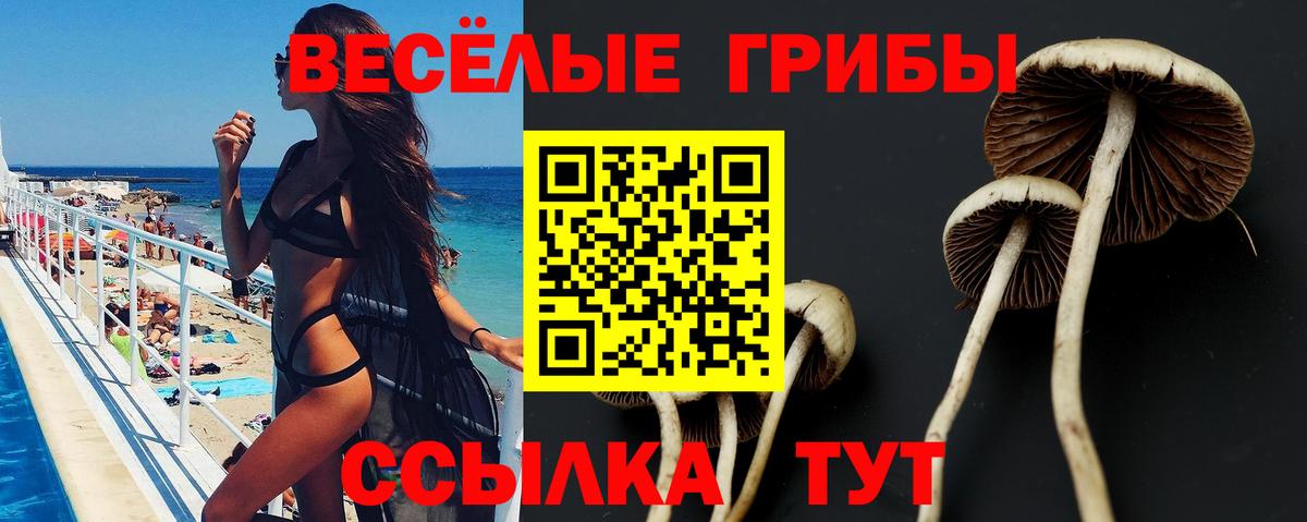 Псилоцибиновые грибы Psilocybine cubensis Радужный